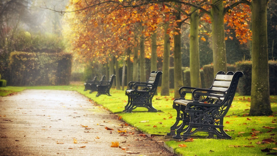    Тишковец: в Центральной России метеолето передаст эстафету бабьему, которое продлится до конца следующей рабочей недели Ирина Петрова