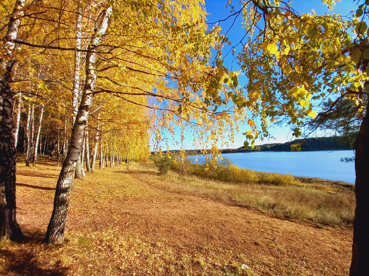 вид на озеро на территории санатория "Лётцы"