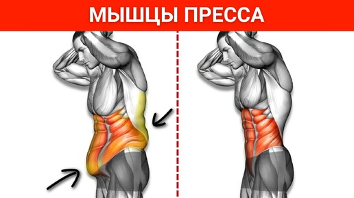 Это база для пресса: 5 упражнений на мышцы кора, прокачай свой пресс