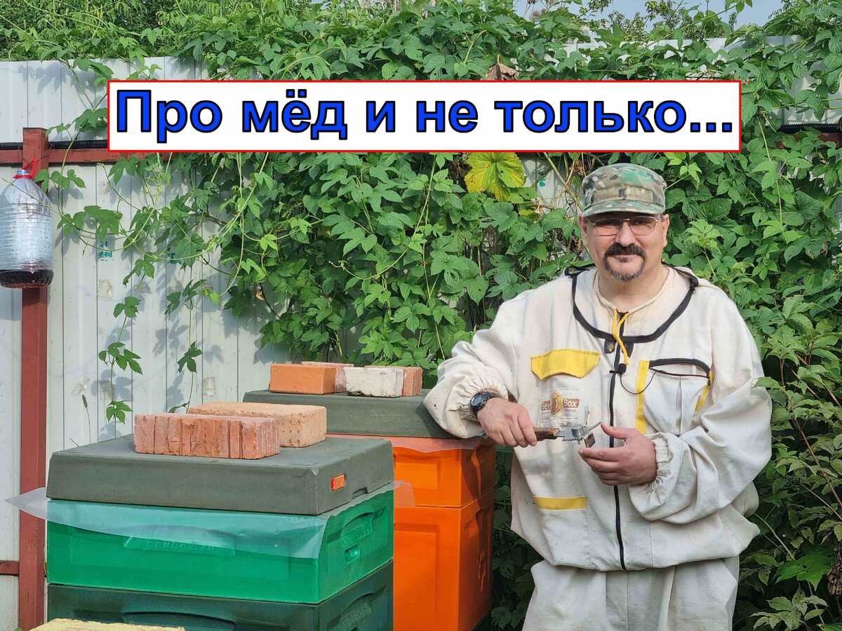 Про пчелиный мёд