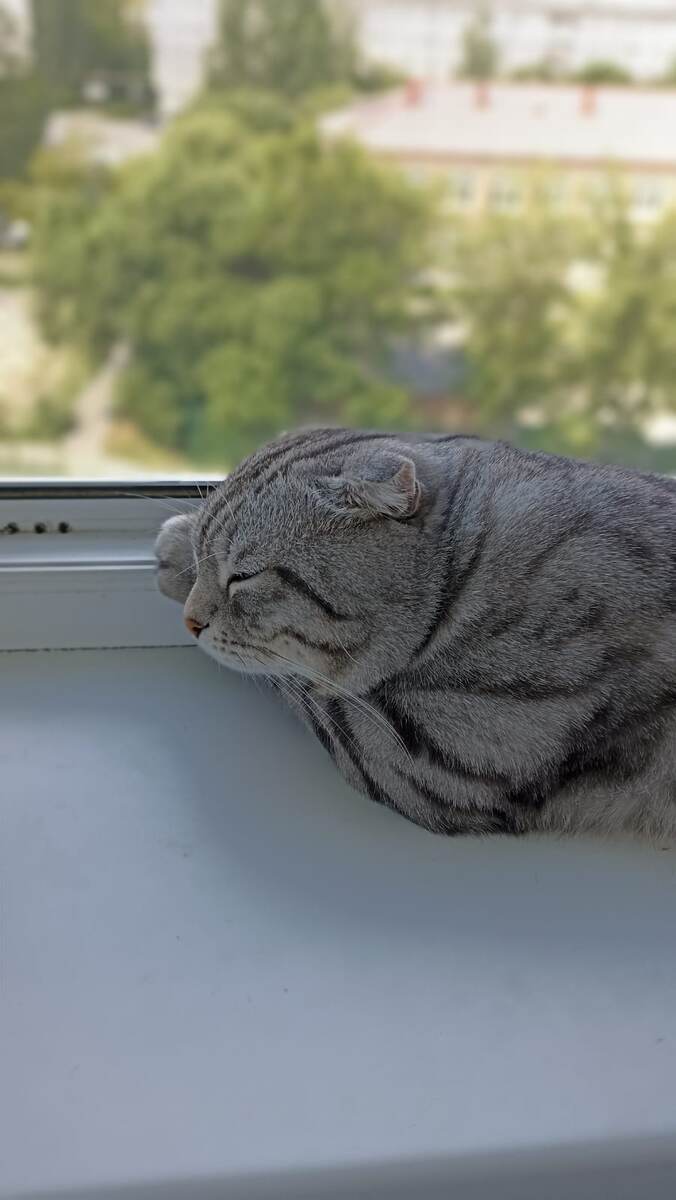 Ковиша 😍 Самая красивая серая бусинка 🥰