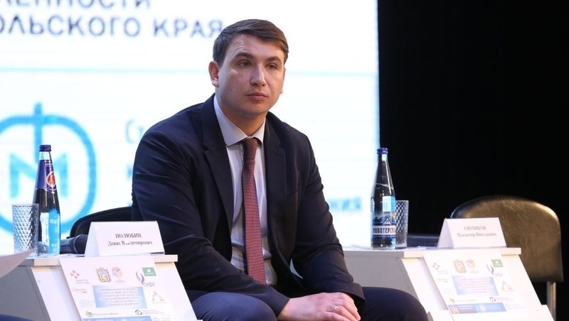    Глава минэкономразвития Ставропольского края Денис Полюбин Фото: ИА «Победа26»
