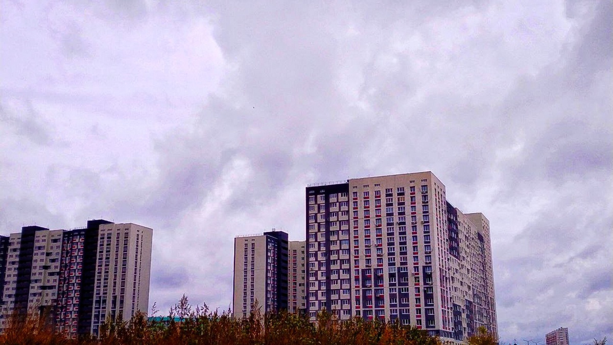     Источник: 1MI