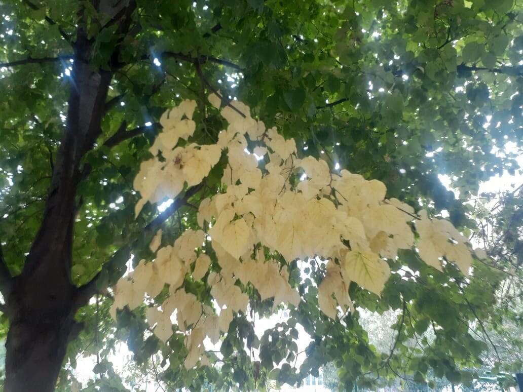 2. Фото принадлежит читательница с ником Зайка Петя