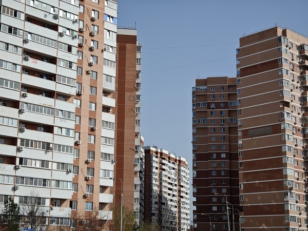    Фото: Юрий Серебренников/BFM Кубань