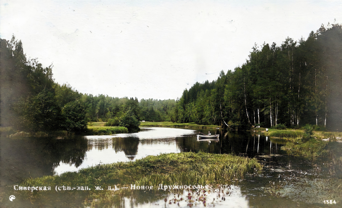 Новое Дружноселье - Станция Сиверская
