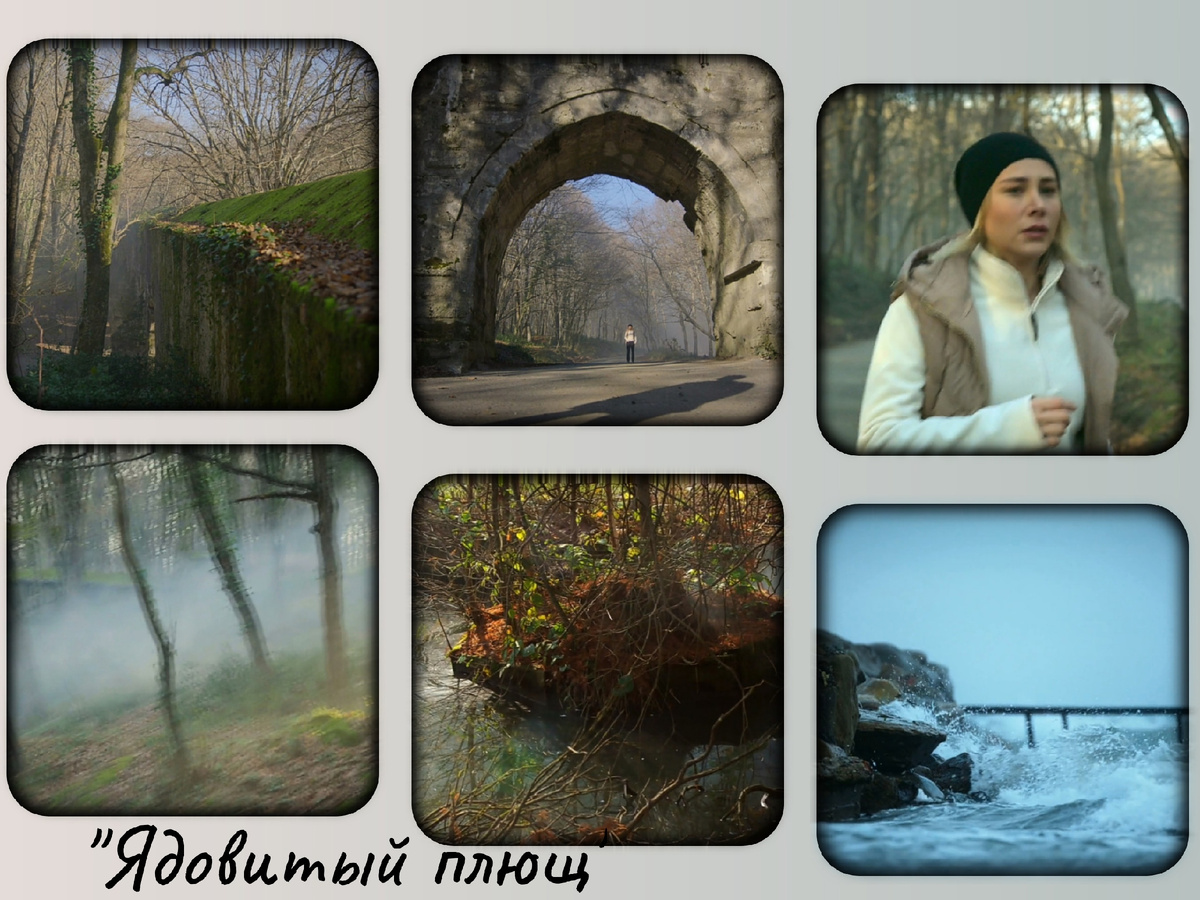 Фото из сериала "Ядовитый плющ", коллаж автора статьи 