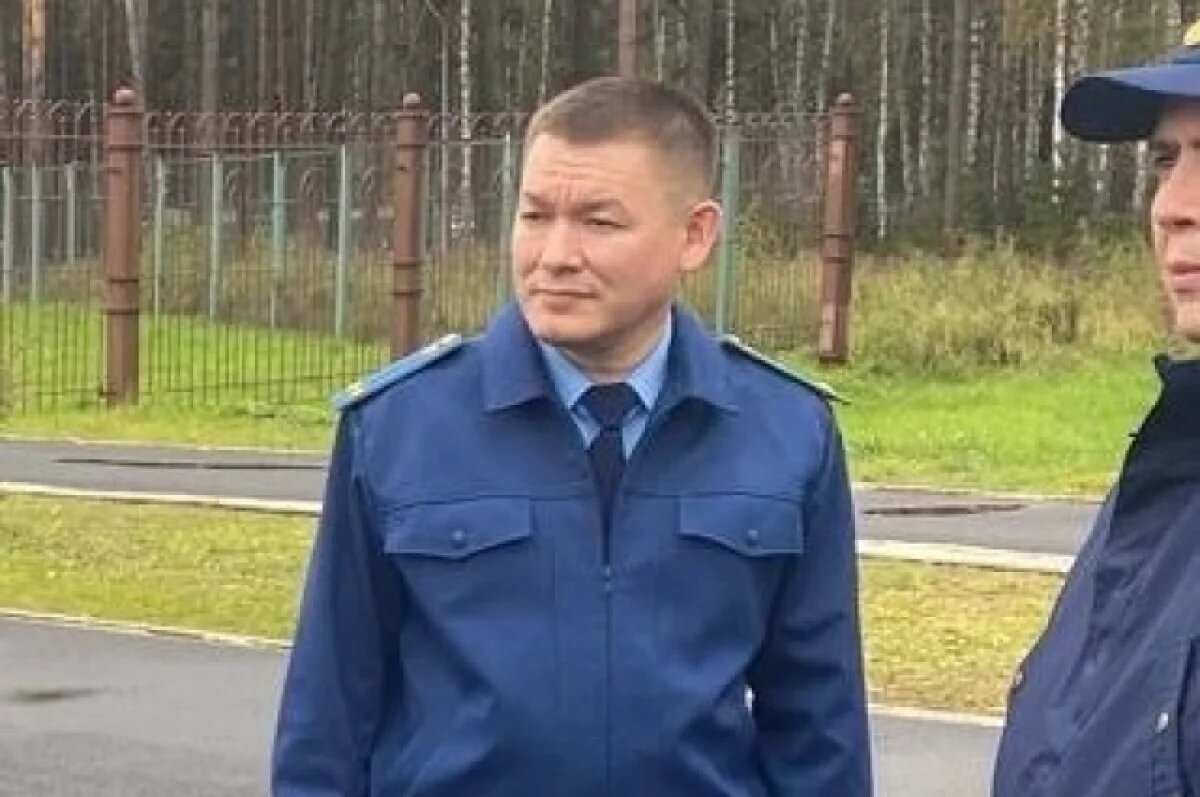    Дмитрий Майоров.