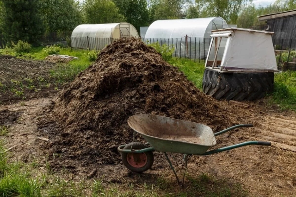    Не перепутайте.