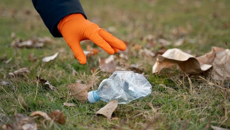      Фото: соцсети Нины Бобрышевой