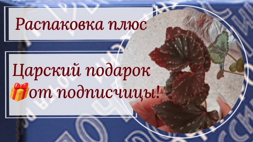 Распаковка. Получила королевский 👸подарок от подписчицы! 🎁 Спасибо, Лена!