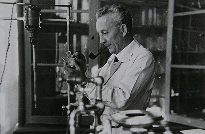 Пауль Дьёрди