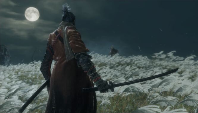Скриншот из Sekiro: Shadows Die Twice 