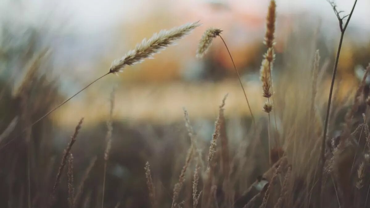     Источник: pxhere.com