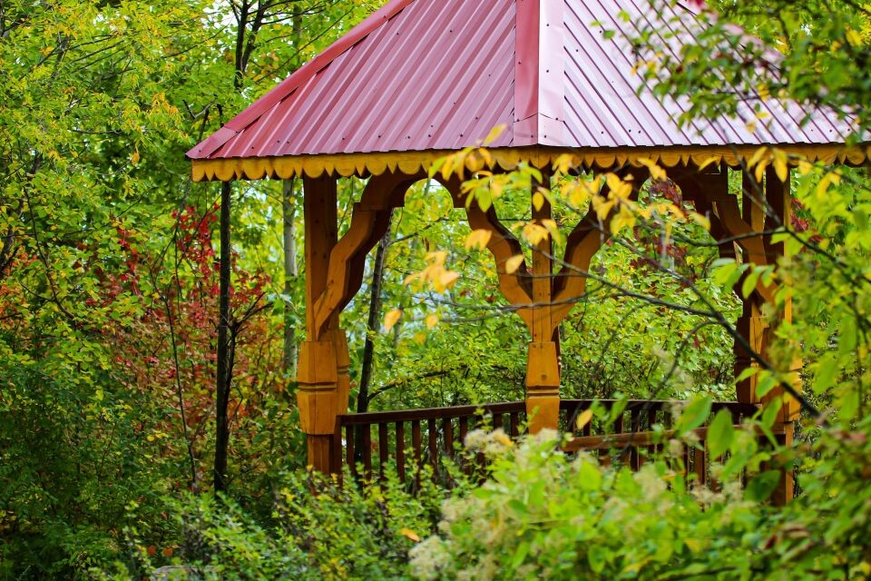    Осень в дендрарии 2023. Источник: Виталий Барабаш