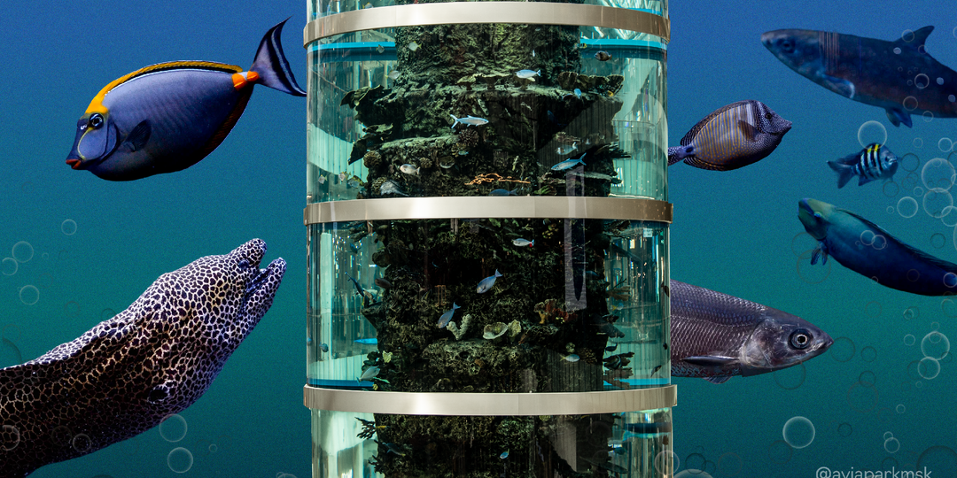 Как устроен самый высокий аквариум в мире. Часть 1