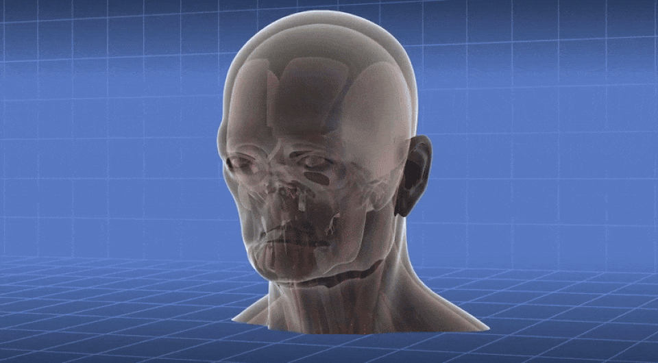   UCLA Health / YouTube
