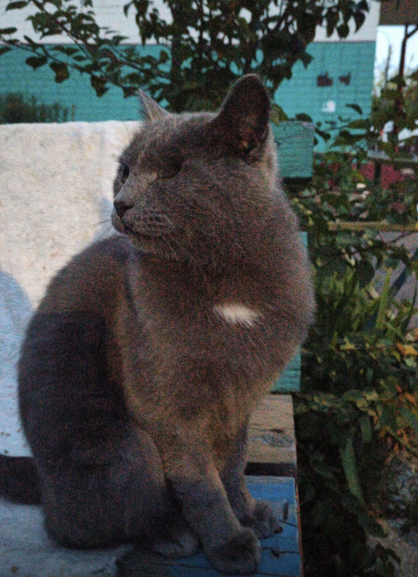 Так и выживал 