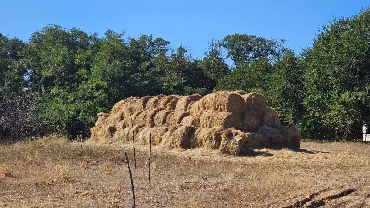     Автор: Александр Демахин