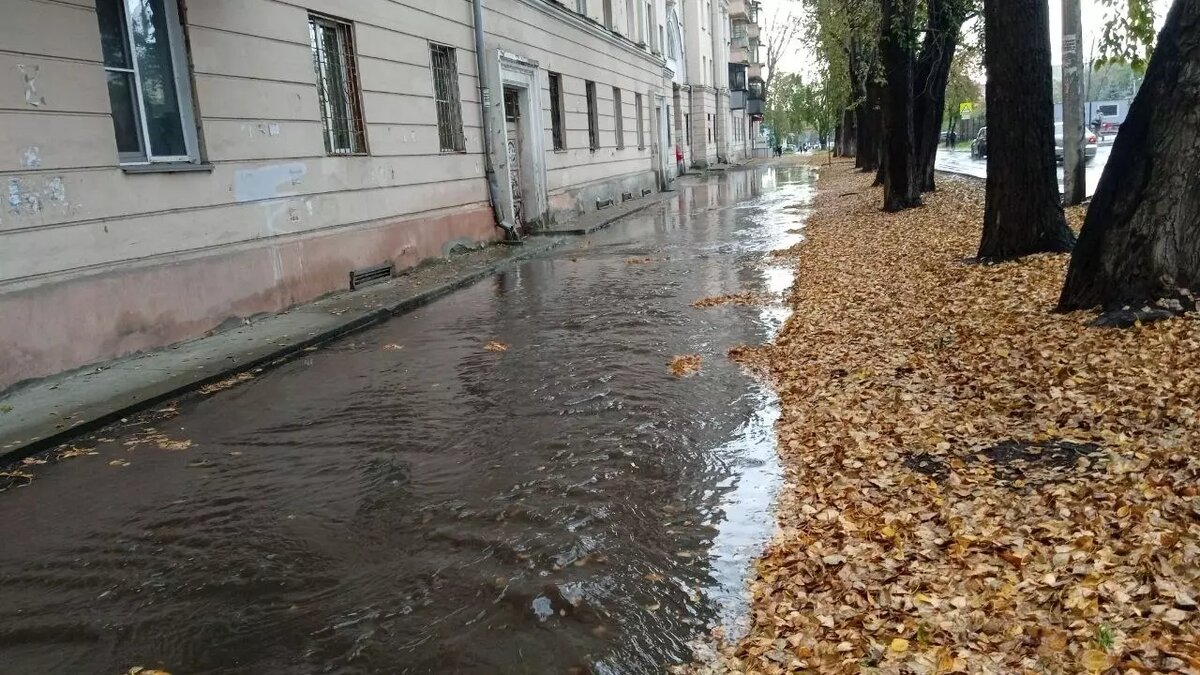     Источник: Читатели/kursdela.biz