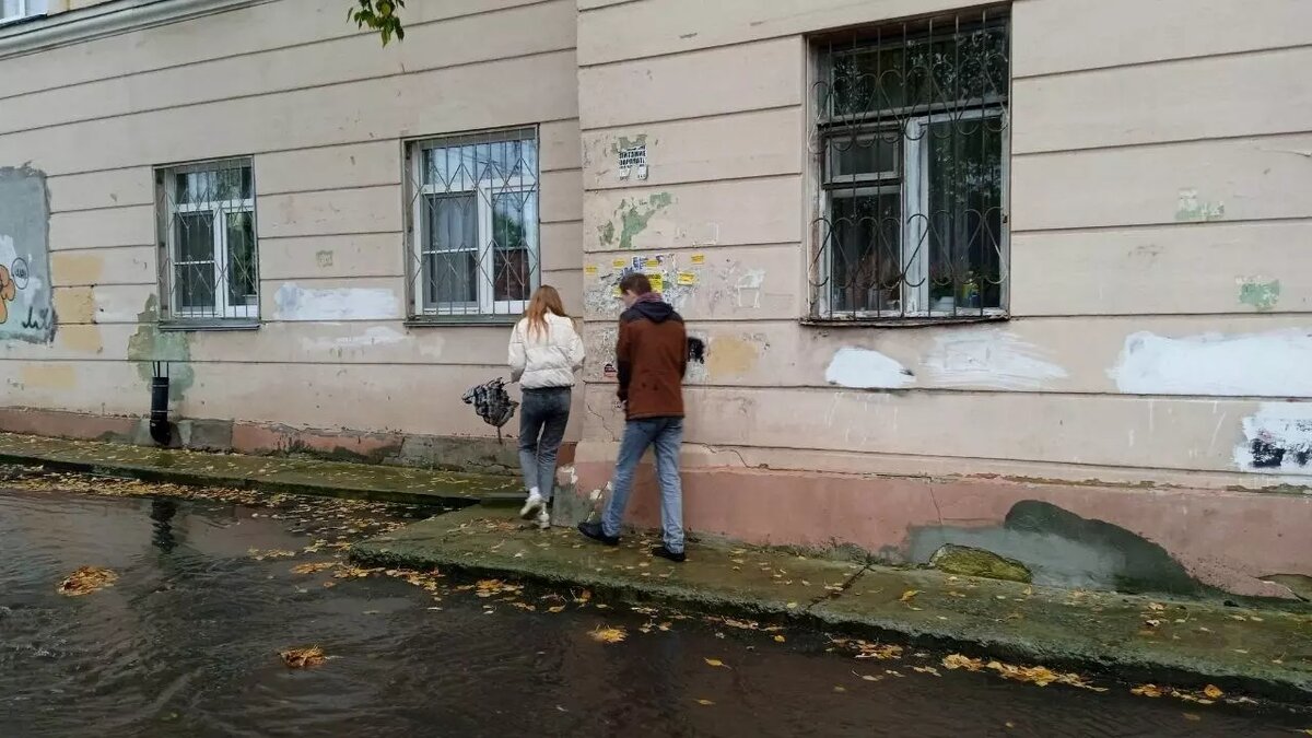     Источник: Читатель/kursdela.biz