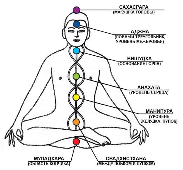 Расположение чакр в нашем энергетическом теле (изображение из открытого источника)