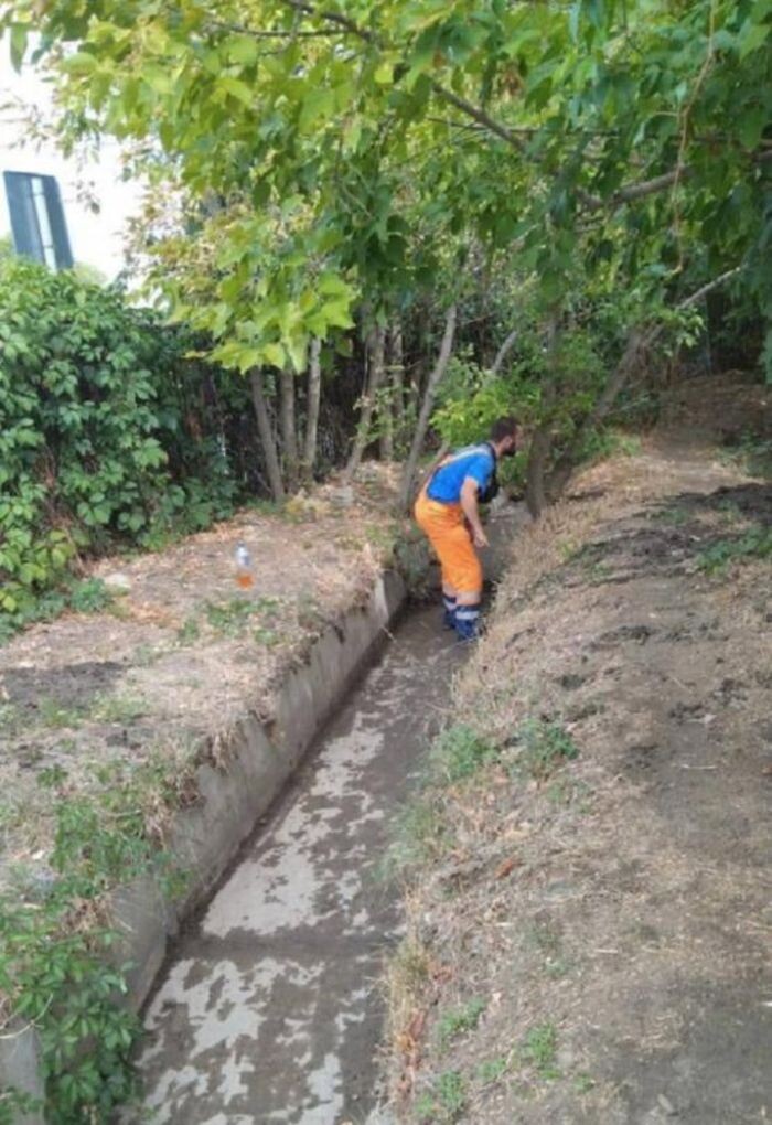 Источник фото: rostov-gorod.ru