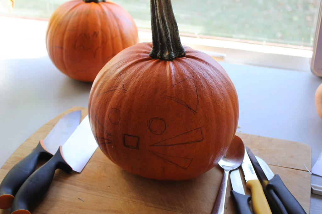 Фото: Rennings / Wordpress.org / openverse