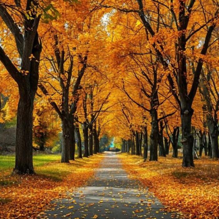 Источник фото: Шедеврум