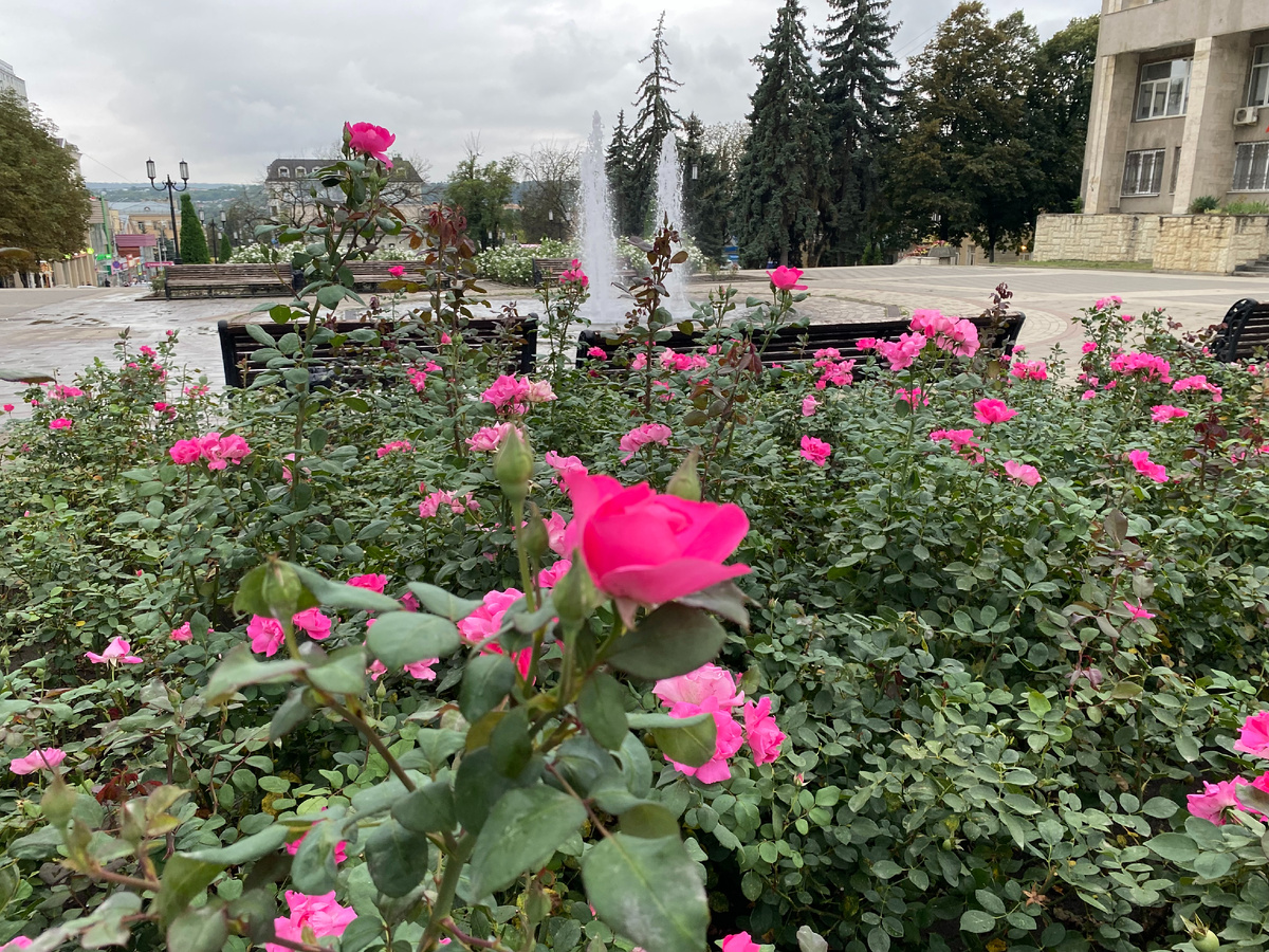 Пятигорск... Фото автора