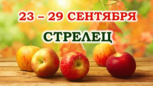 ♐ СТРЕЛЕЦ. 🍎 С 23 по 29 СЕНТЯБРЯ 2024 г. 🍁 Таро-прогноз 🌞