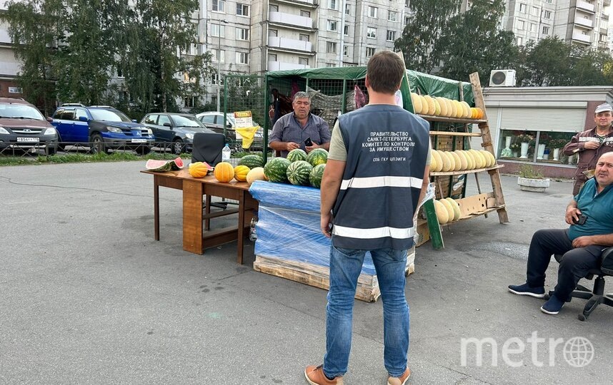    gov.spb.ru