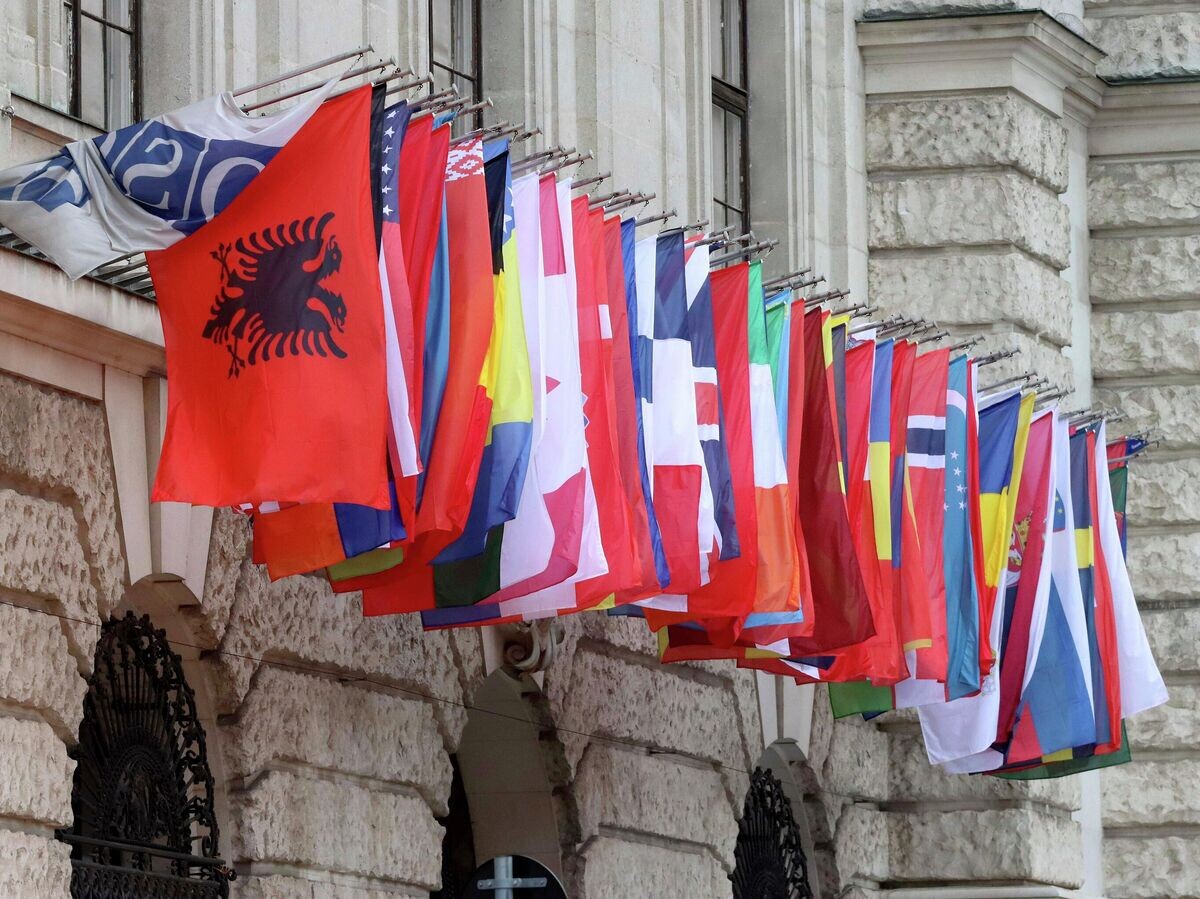    Флаги на здании штаб-квартиры ОБСЕ в Вене, Австрия© AP Photo / Ronald Zak