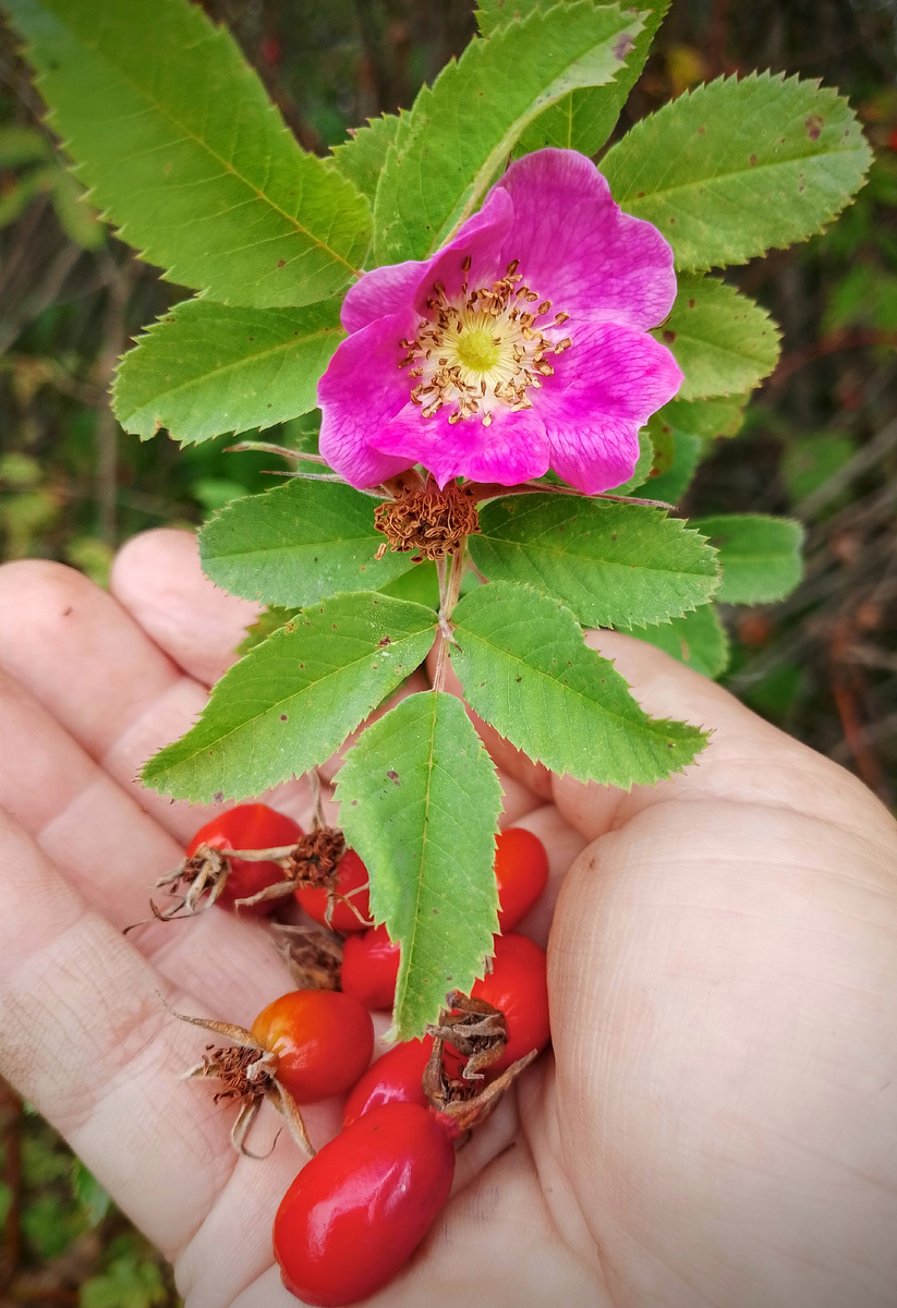 фото автора, сентябрь 2024 года