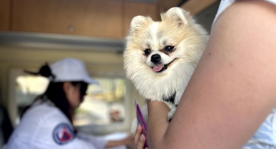    Пресс-служба Министерства сельского хозяйства и продовольствия Московской области