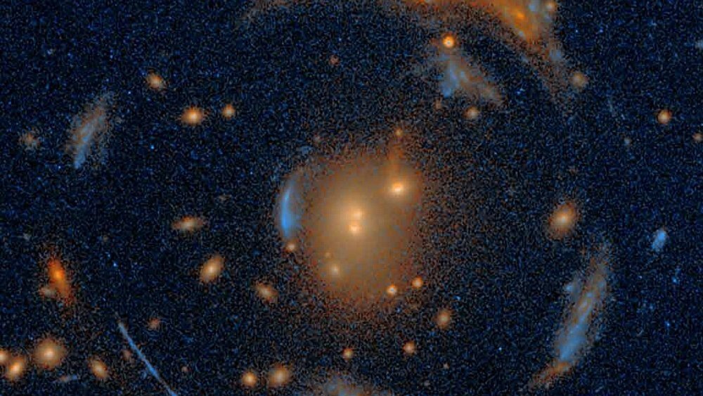    Фото: William Sheu/UCLA