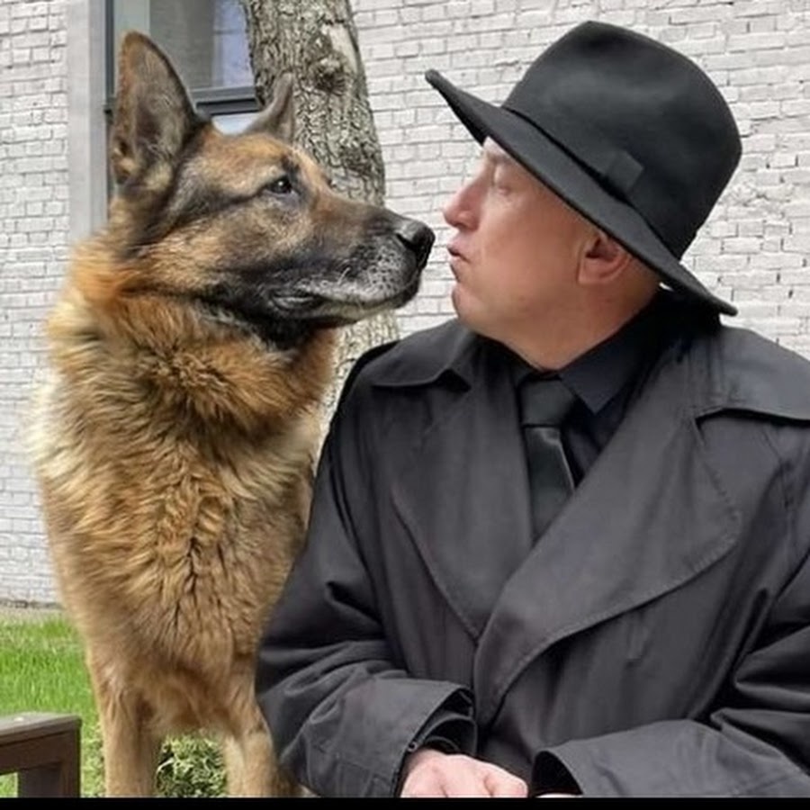 Яндекс - картинки. 