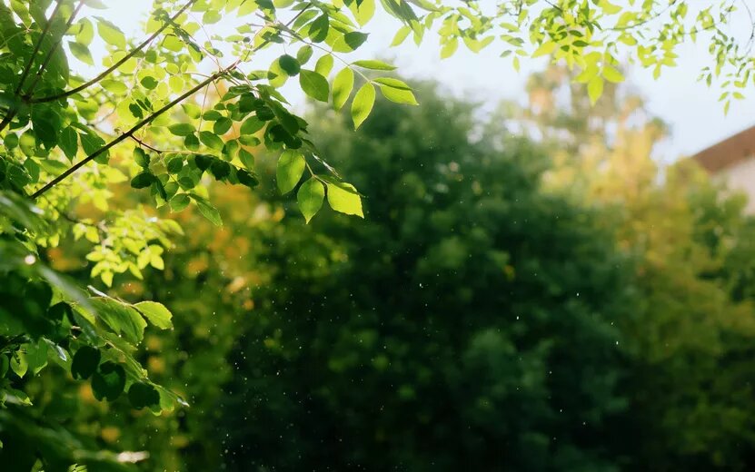    Погода в Ижевске на день: 20 сентября ждем небольшие дожди и до +17°С