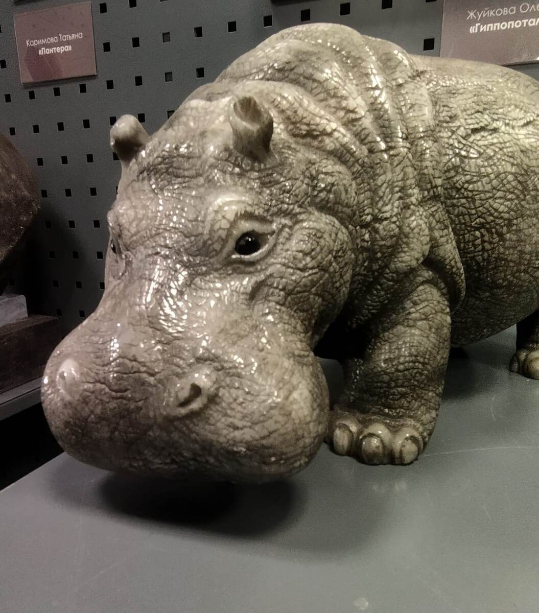 Гиппопотам) очень выразительный взгляд)