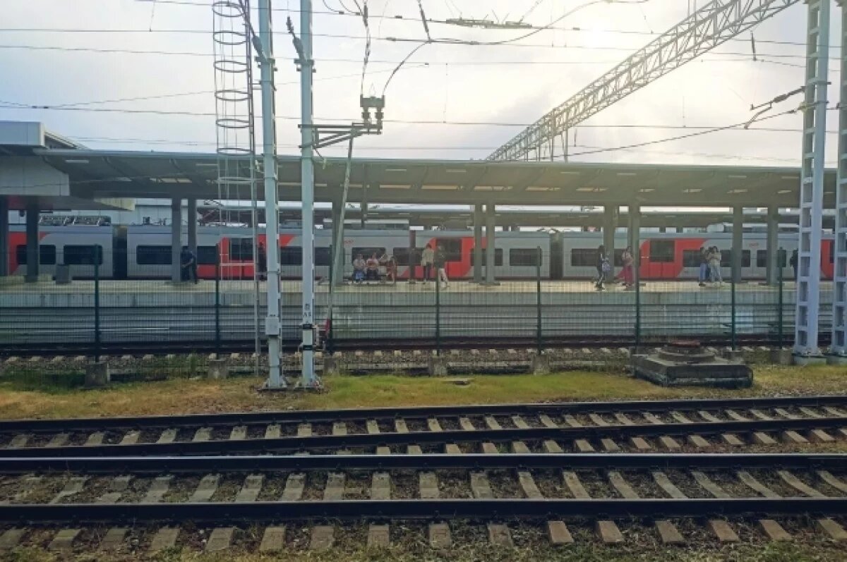    В 2024 году в поездах южного направления люди оставили укулеле, шубу, торт