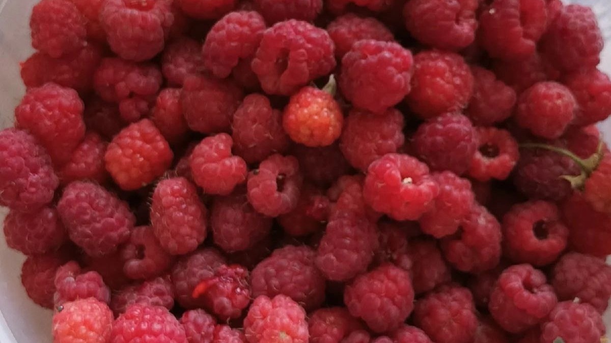 ИА SM-News Тюмень📷
