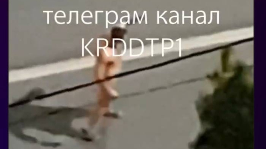    Фото: полиция Краснодара