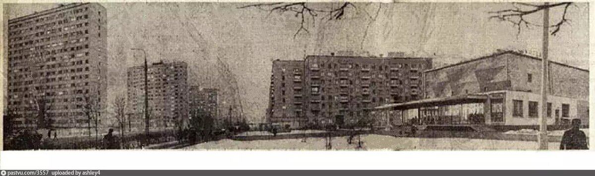 Улица Трофимова , кинотеатр "Свобода", начало 1970-х.  https://pastvu.com/_p/a/a/2/8/a28e65dfea27c8c62109ea9aecbca5ed.jpg