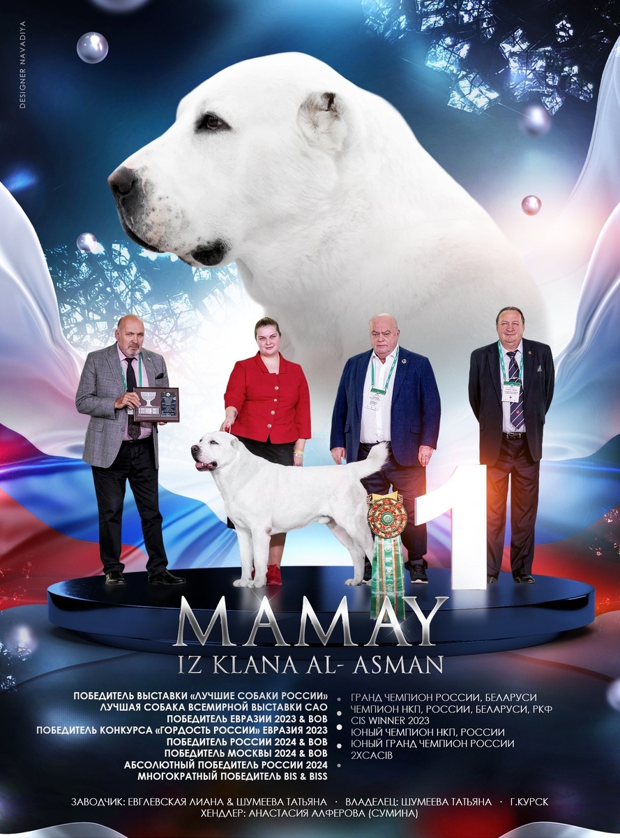 фото из сети