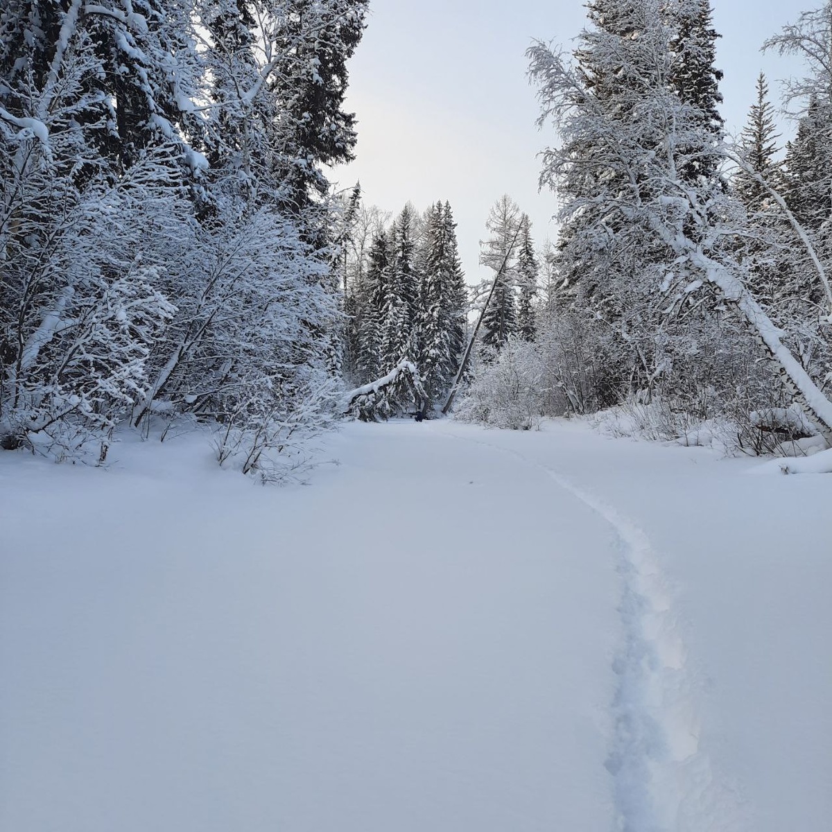 Из личного архива.