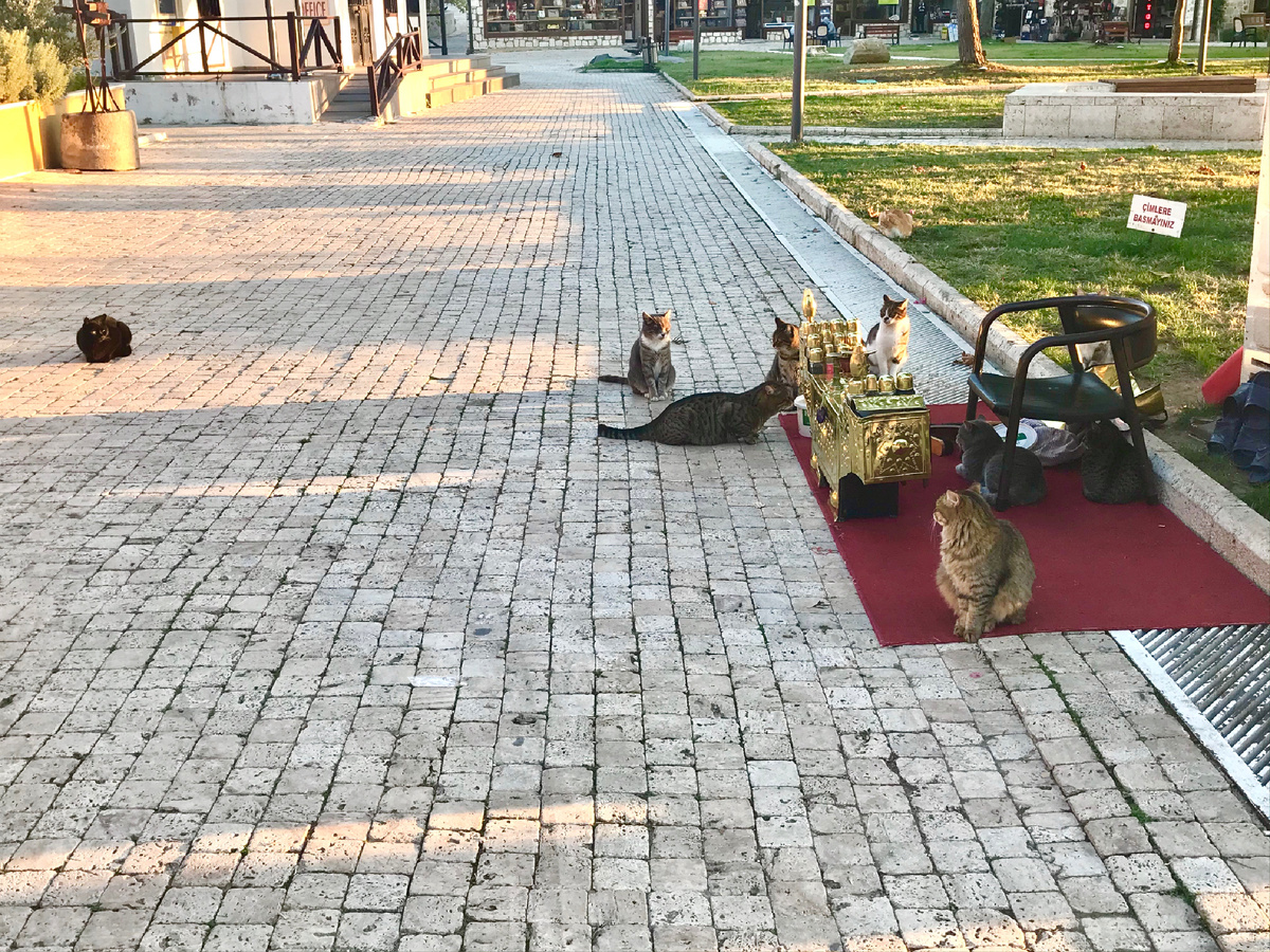 Ближе к Манавгату 