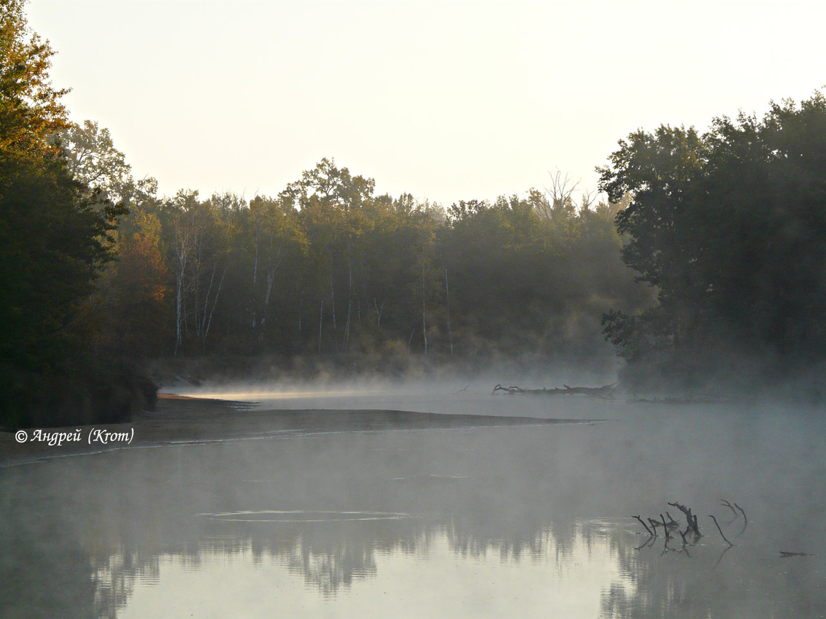 Туман над рекой