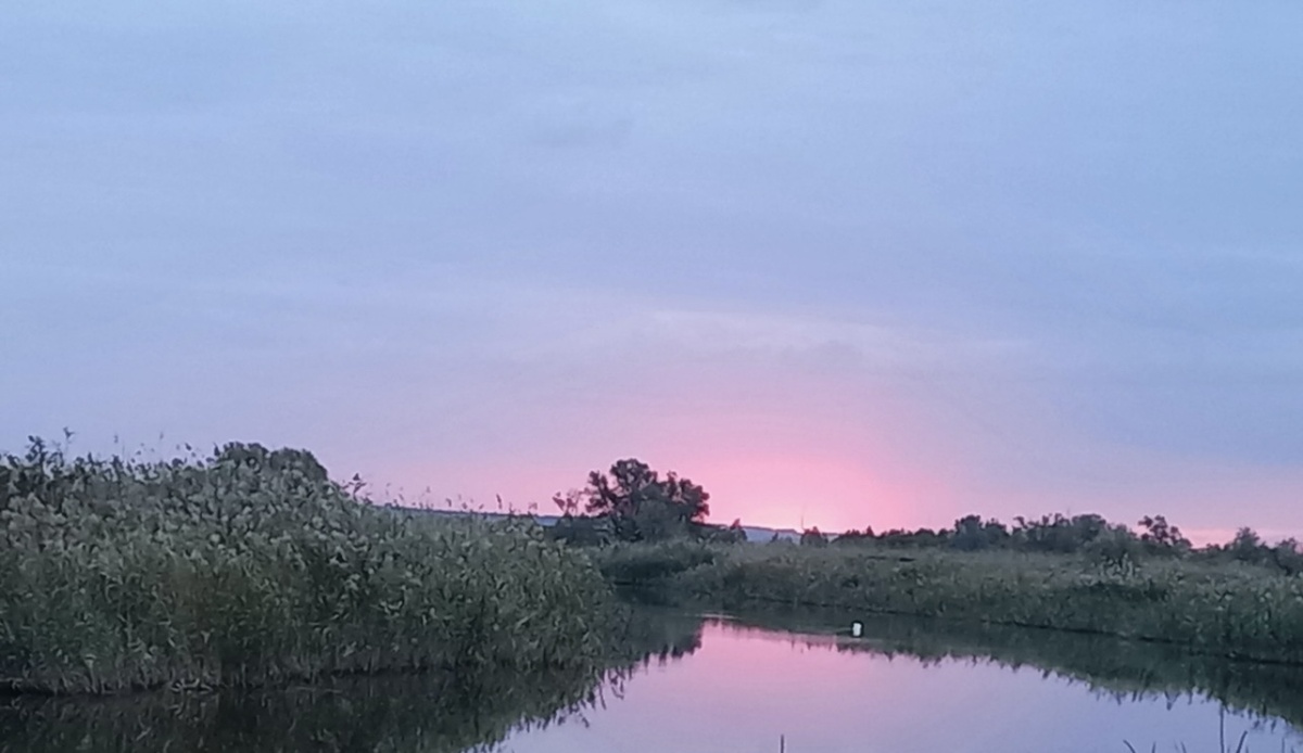 ФОТОГРАФИЯ ПОДПИСЧИЦЫ