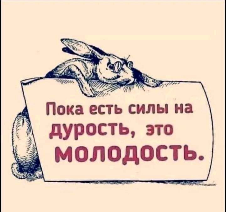 Не могу не согласиться😁