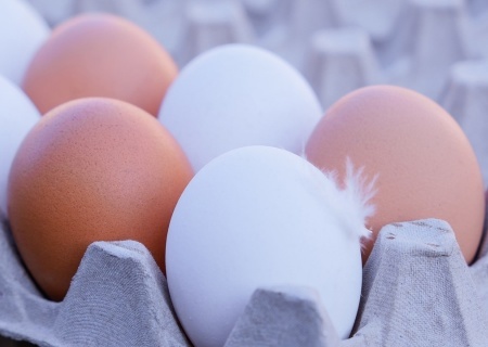    Болгария намерена отказаться от украинских яиц